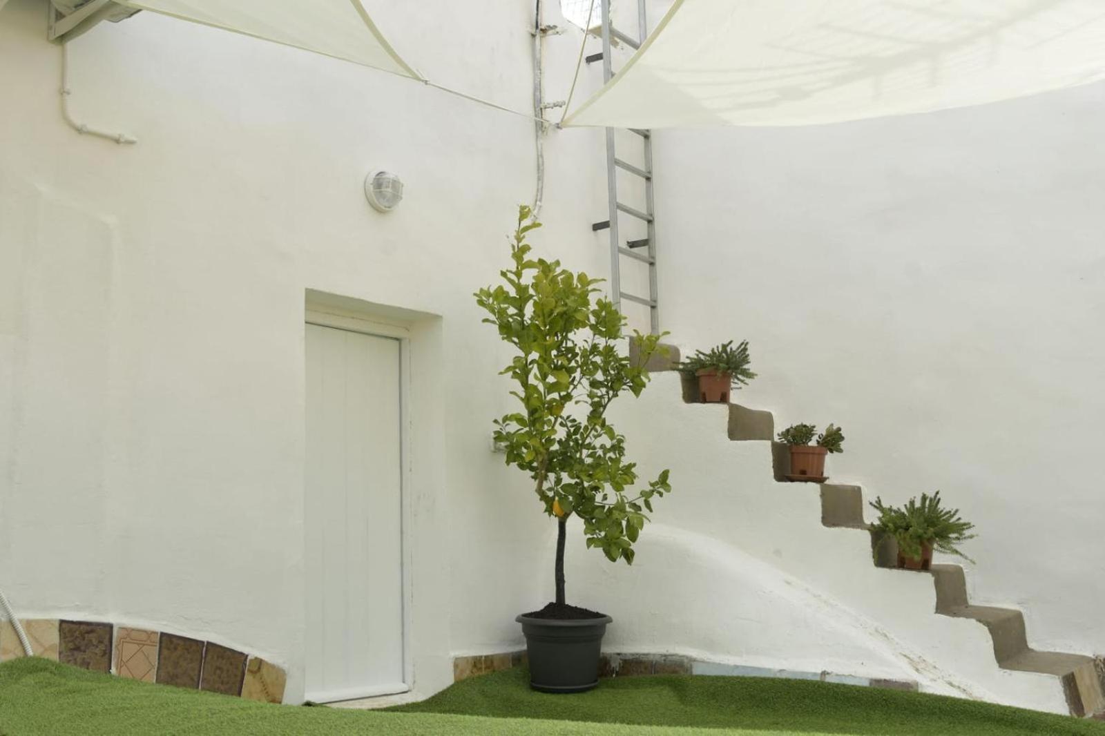 Madre Terra Apartment & Rooms Terrasini Luaran gambar